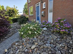 Koelmoer 51003.JPG